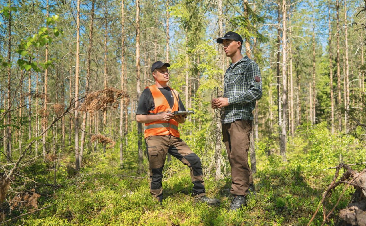 Metsänhoitoyhdistyksen jäsenyys kannattaa.