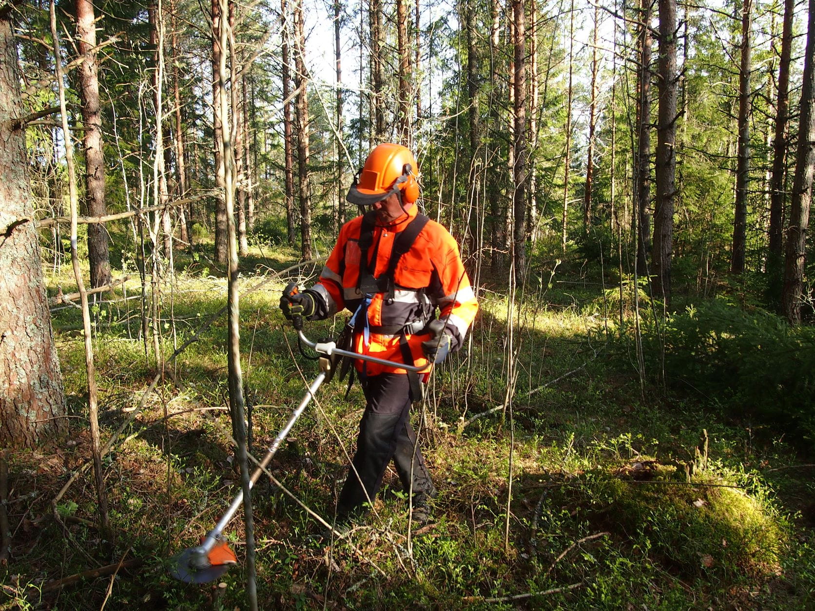 Metsänhoitoyhdistykseltä saat ennakkoraivauksen