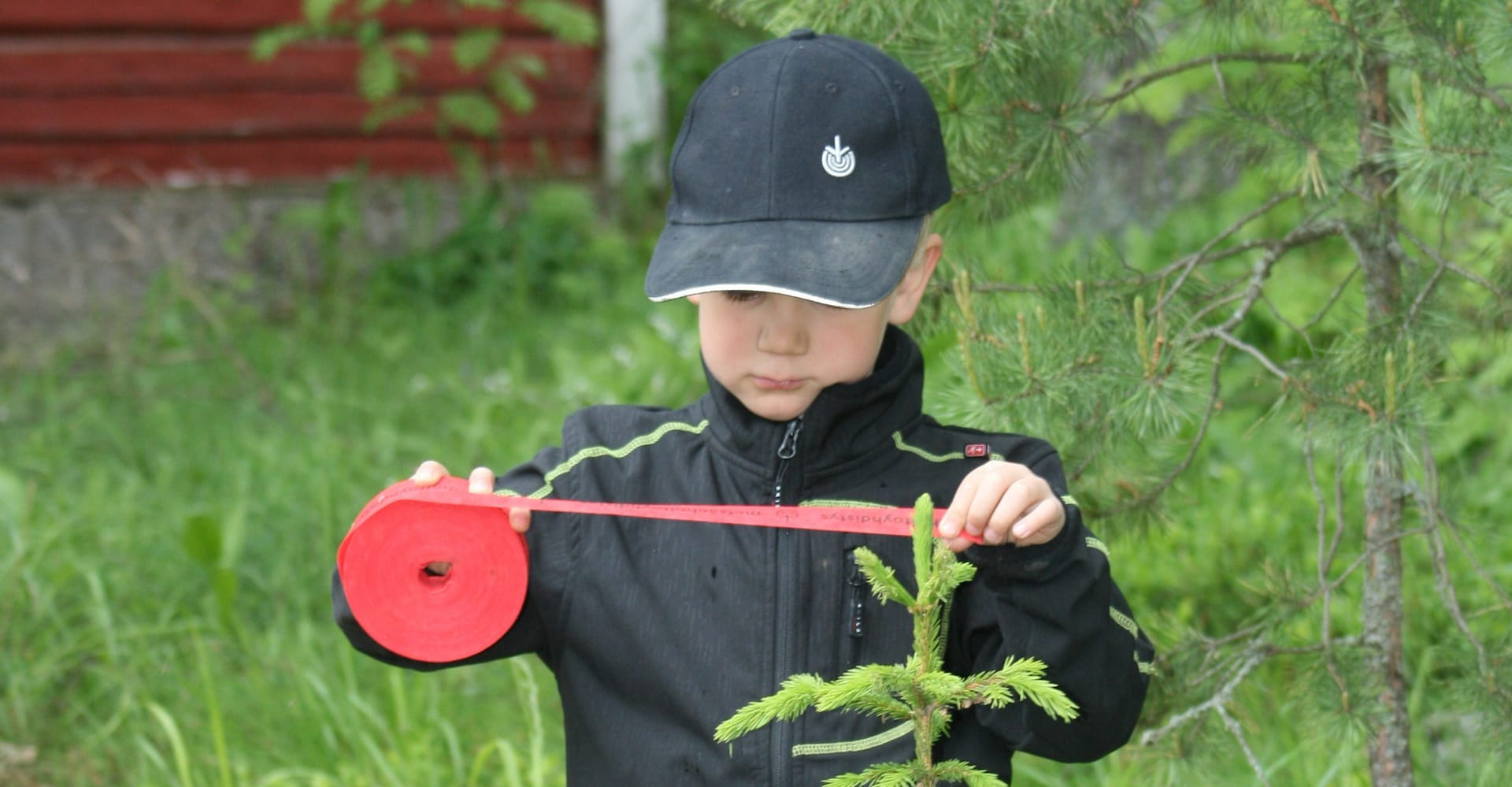 Kasvatetaan yhdessä taimikostasi vahva metsä - Metsänhoitoyhdistys