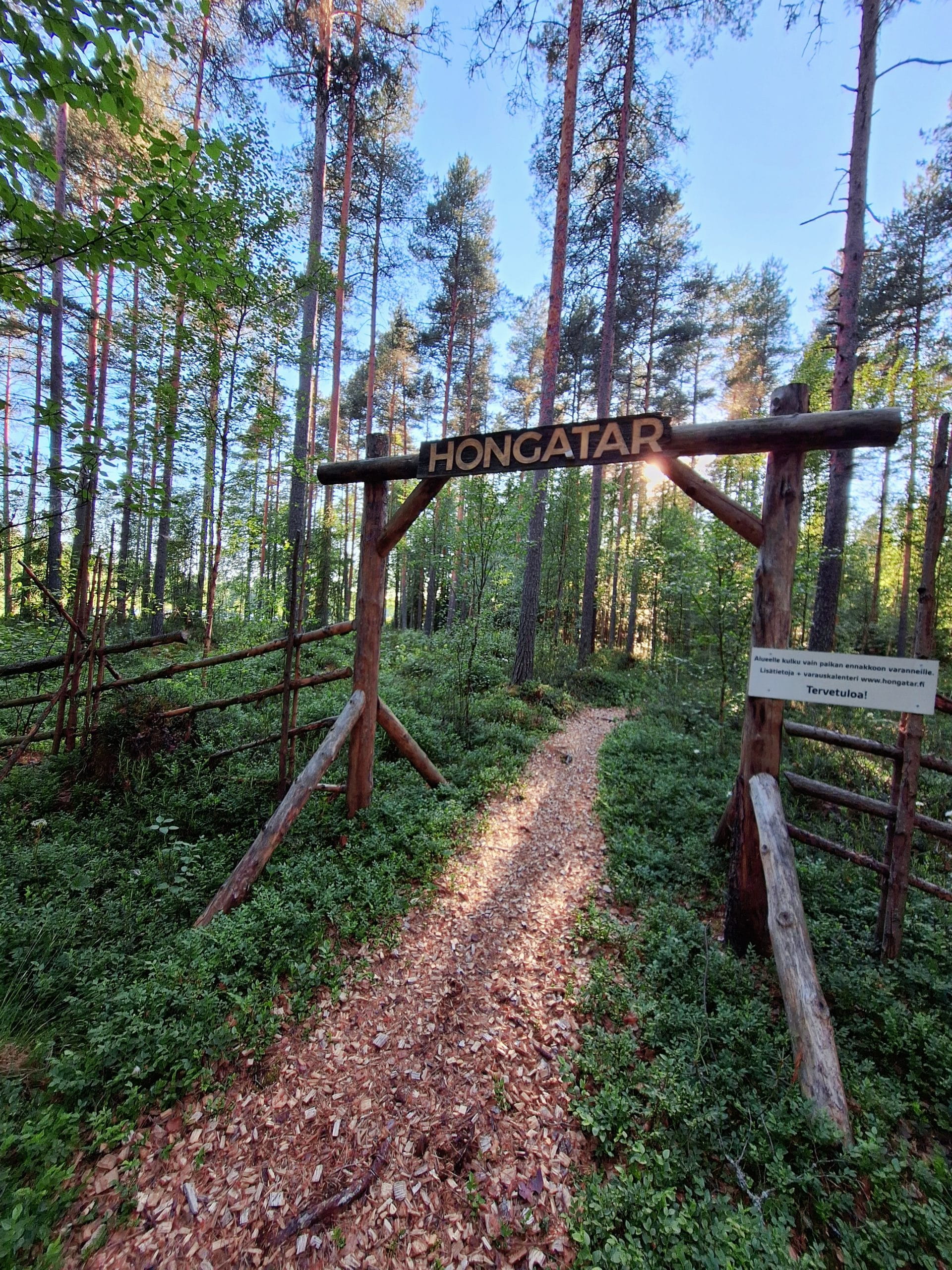 Taimikosta ensiharvennukseen metsäkävely, VALKEAKOSKI