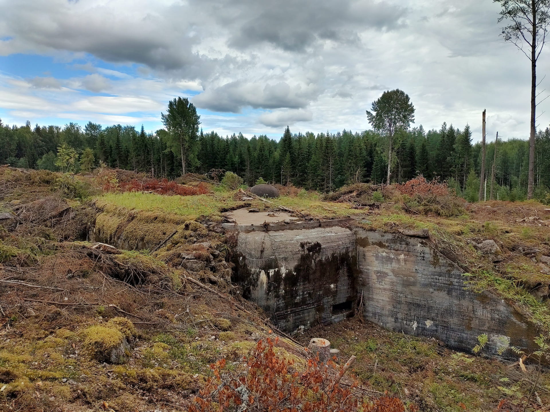 Metsänhoitoyhdistys Kaakko