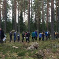 Kitulan metsätaitokilpailujen tulokset 18.6.2024