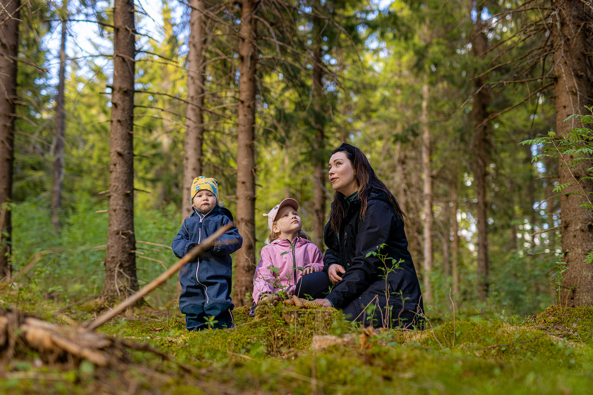 Vi skapar välbefinnande från skogen