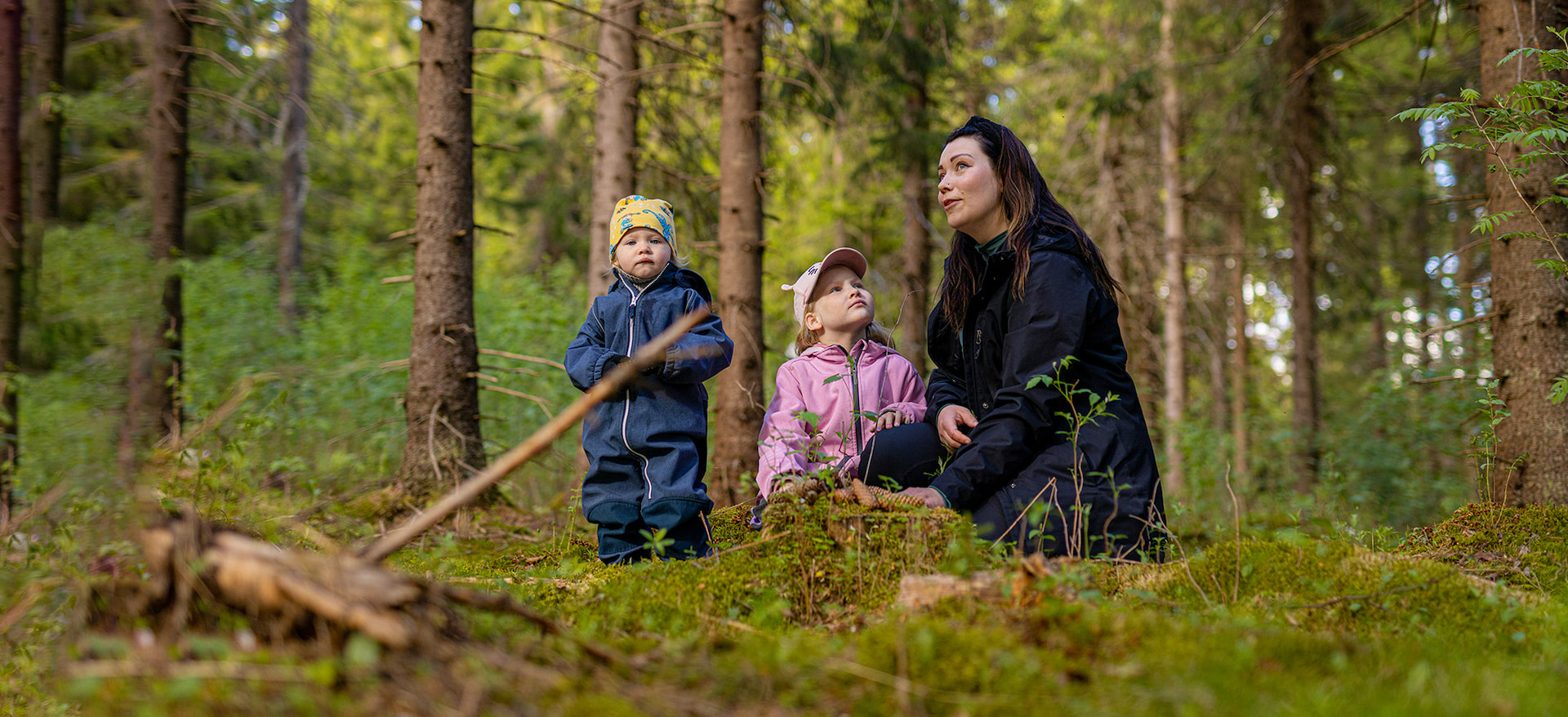 Luomme hyvinvointia metsästä